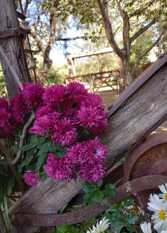 Foto 3 de la galería de Cabañas La Riviere en Villa La Bolsa