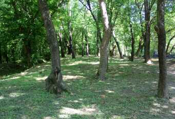 Foto 1 de la galería de La Ribera Aparts frente al rio en Santa Rosa De Calamuchita