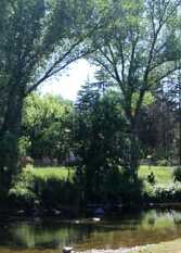 Foto 3 de la galería de La Ribera Aparts frente al rio en Santa Rosa De Calamuchita