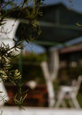 Foto 3 de la galería de Punto de Encuentro en Cabalango