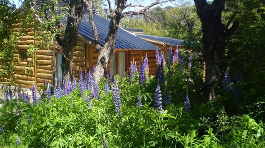Foto principal de Cabañas Wirkaleufu en San Martín De Los Andes