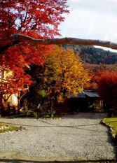 Foto 3 de la galería de Cabañas Wirkaleufu en San Martín De Los Andes
