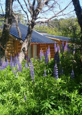 Foto 2 de la galería de Cabañas Wirkaleufu en San Martín De Los Andes