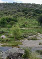 Foto 3 de la galería de La Roca en Estancia Vieja