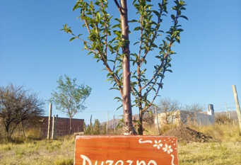 Foto 1 de la galería de Cabaña AmaNacer en San Esteban
