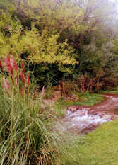 Foto 2 de la galería de Cabaña AmaNacer en San Esteban