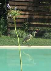 Foto 2 de la galería de Villa_Portezuelo en Junin