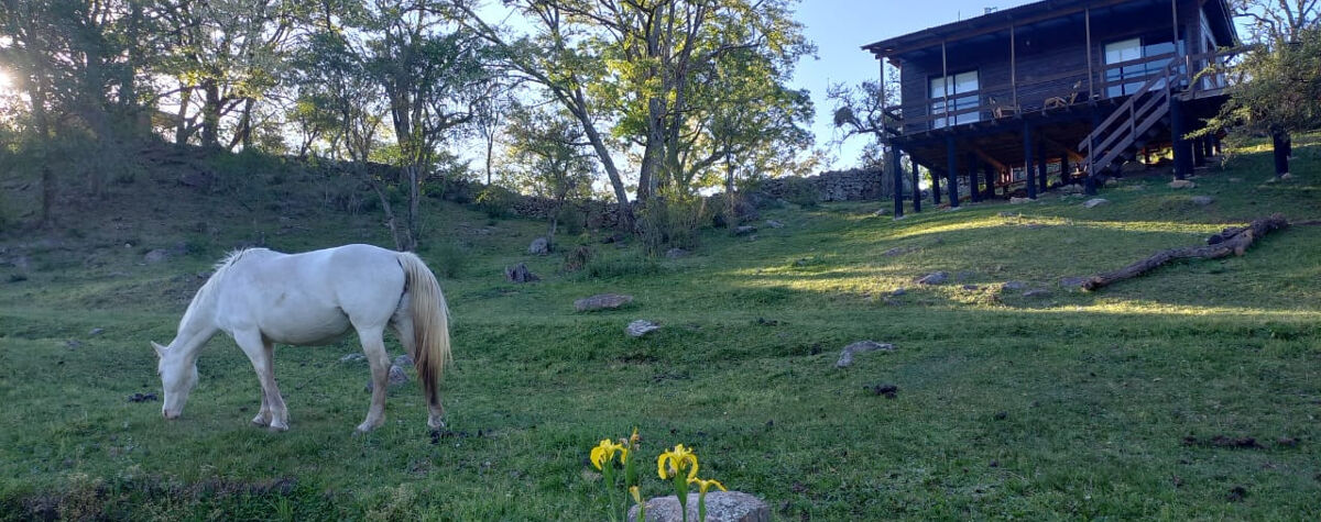 Foto principal de Cabaña La Maruca, San Clemente Sierras de Còrdoba en San Clemente