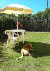 Foto 4 de Cabañas Chascomús a metros de la playa. en Monte Hermoso