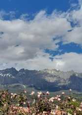 Foto 3 de la galería de W Duplex El Bolsón en El Bolsón