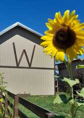 Foto 2 de la galería de W Duplex El Bolsón en El Bolsón