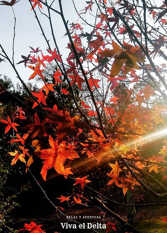 Foto 2 de la galería de Casa Viva el Delta en Tigre