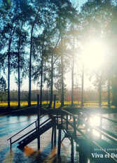 Foto 3 de la galería de Casa Viva el Delta en Tigre