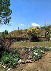 Foto 3 de Cabaña santa Elena en Las Vegas