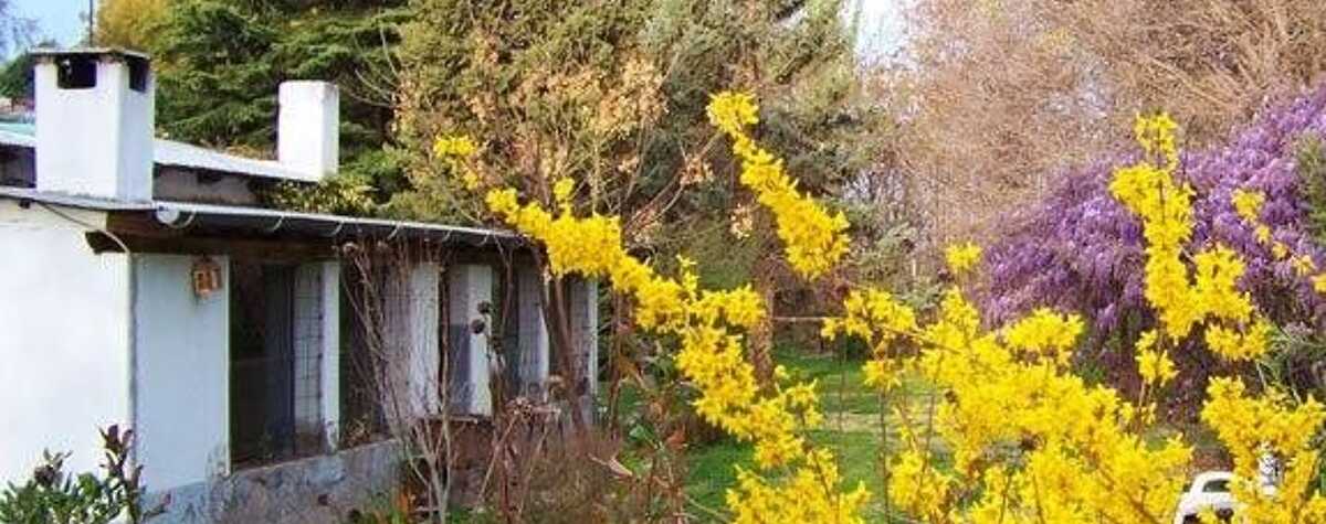 Foto principal de Chacra Martinez en General Roca