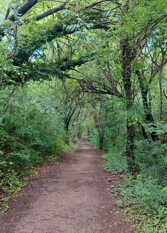 Foto 2 de la galería de Complejo Pueblo Bonito Mayu Sumaj en Mayu Sumaj