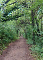 Foto 2 de la galería de Complejo Pueblo Bonito Mayu Sumaj en Mayu Sumaj