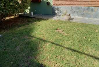 Foto 1 de la galería de NUESTRO LUGAR. en Villa Gesell