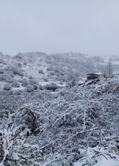 Foto 2 de la galería de Las Chuñas Cabañas de Montaña en San Clemente