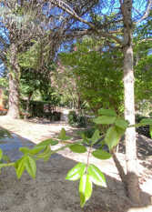 Foto 3 de la galería de KarCan_gesell en Villa Gesell