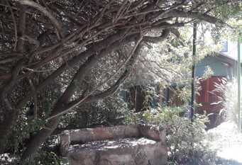 Foto 1 de la galería de Cabañas El Puente, PROMO TEMPORADA BAJA!! en Tanti