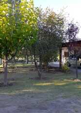 Foto 3 de la galería de Olive Garden Cabañas en San Rafael