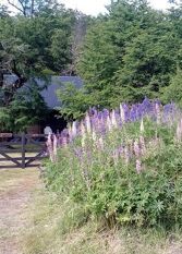 Foto 2 de la galería de Cabañas Bosque Nativo en San Martín De Los Andes