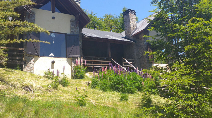 Foto principal de Cabañas Bosque Nativo en San Martín De Los Andes