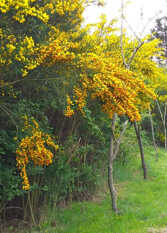 Foto 3 de la galería de Cabañas colores lago ouelo en Lago Puelo