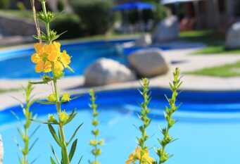 Foto 1 de la galería de Cabañas Vista Bella en La Falda