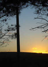 Foto 2 de la galería de Duplex Mimi en Monte Hermoso