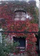 Foto 3 de la galería de El Chalet de Santiago en San Antonio en San Antonio De Arredondo