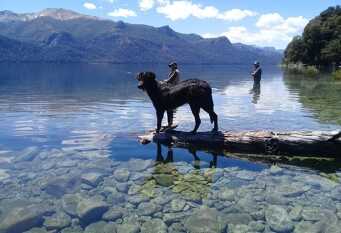 Foto 1 de la galería de Complejo Aiken en Villa Traful