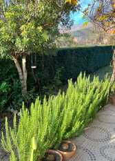 Foto 3 de la galería de Casa Salvia-Casa completa con pileta -uso 100% exclusivo en Los Hornillos