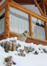 Foto 4 de Del Quintral en San Carlos De Bariloche