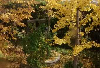 Foto 1 de la galería de Casa en Vistalba con pileta en Lujan De Cuyo