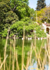 Foto 2 de la galería de San Pedro Viejo, estancia en las sierras de Cordoba en San Pedro Norte