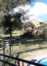 Foto 4 de Chacras de Palmares Complejo de Cabañas en Papagayo
