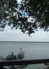 Foto 2 de la galería de Cabañas Jardín Del Parana en Ita Ibate