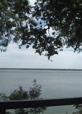 Foto 2 de la galería de Cabañas Jardín Del Parana en Ita Ibate