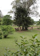 Foto 3 de la galería de Killa Huasi en Villa Del Dique