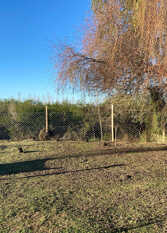 Foto 3 de la galería de MI SUEÑO en Colón