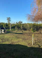 Foto 2 de la galería de MI SUEÑO en Colón