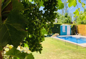Foto 1 de la galería de Casalinda en Chacras De Coria est paso De Los Andes