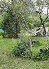 Foto 2 de la galería de Ecoposada Nuestro Ranchito en San Javier