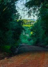 Foto 2 de la galería de Cabañas Yvoty 1 en Obera