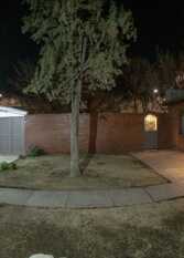 Foto 3 de la galería de Apart Los Olivos en San Rafael