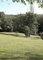 Foto 3 de la galería de Aguilucho en La Granja