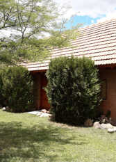 Foto 4 de Cabañas Maria Olga en Mina Clavero