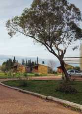 Foto 3 de la galería de Aromas de campo en Colón